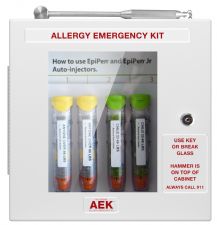 epinephrine storage cabinet